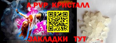 шишки Лесосибирск