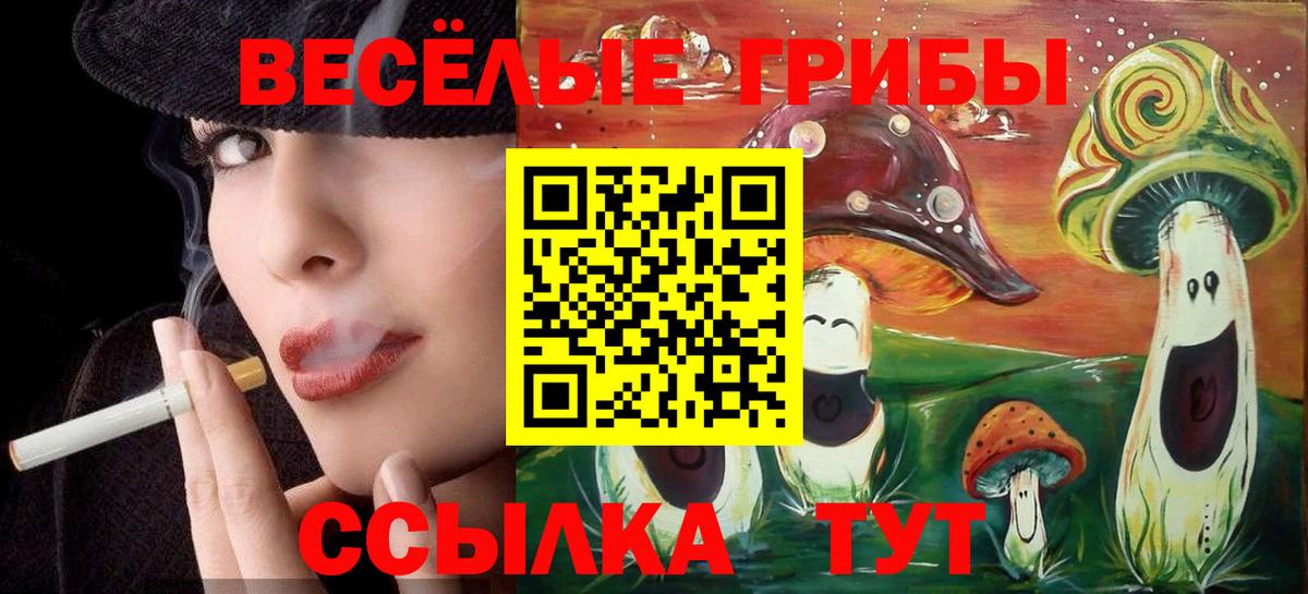 Галлюциногенные грибы Psilocybe  Вход с VPN  Азов 